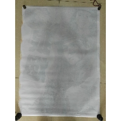 洛克菲勒大学 Design degree certificate
